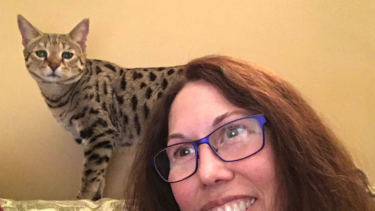 Someone Like Me | Gayle Berkeley and the safety of distributed