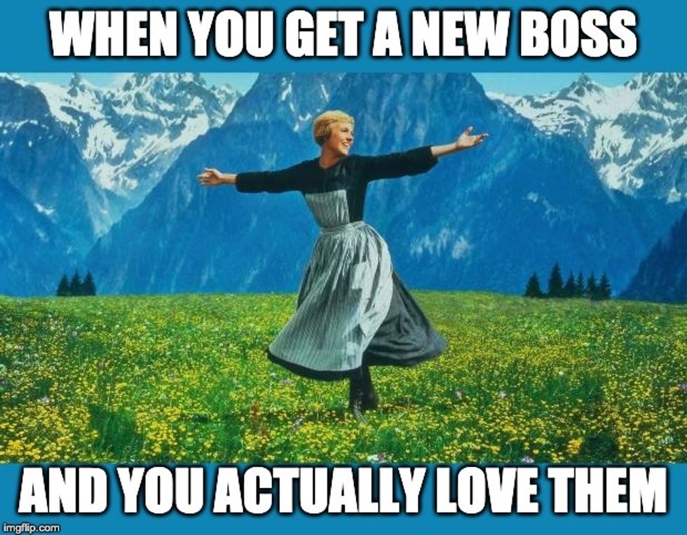 Love Your Boss meme - when you get a new boss and actually love them (The Sound of Music Meme)